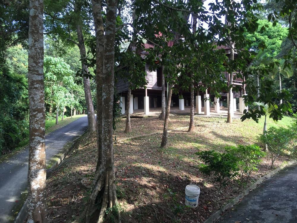 Kampung Tok Senik Resort - Property Grounds
