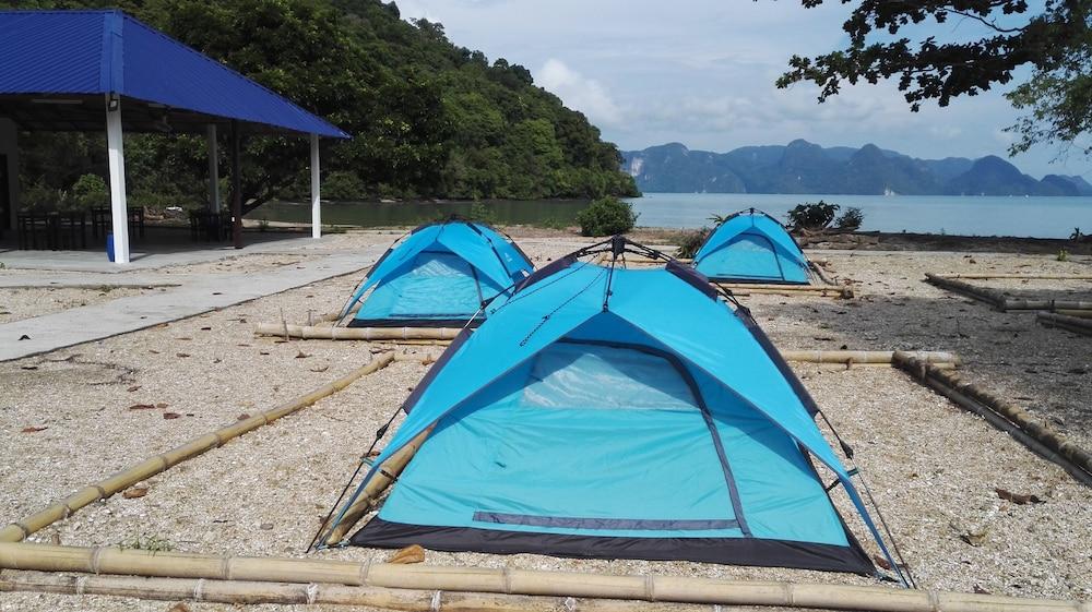 Tropical Eco Camping - Property Grounds