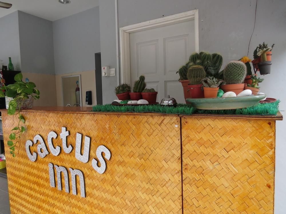 Cactus Inn - Featured Image