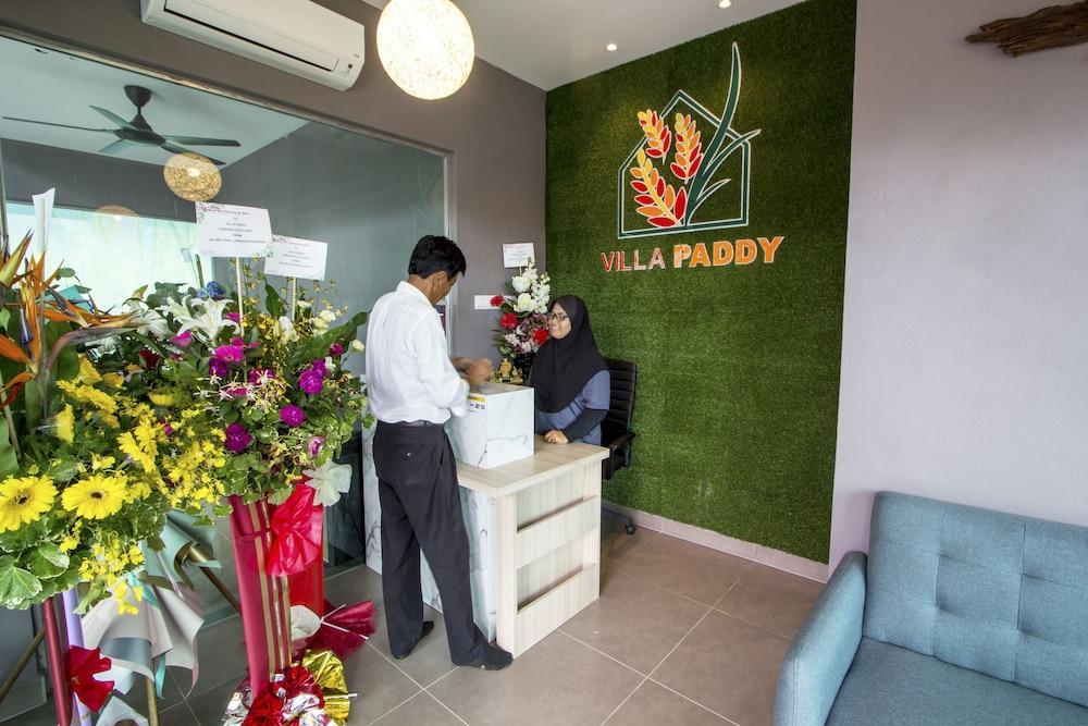 Villa Paddy - Reception